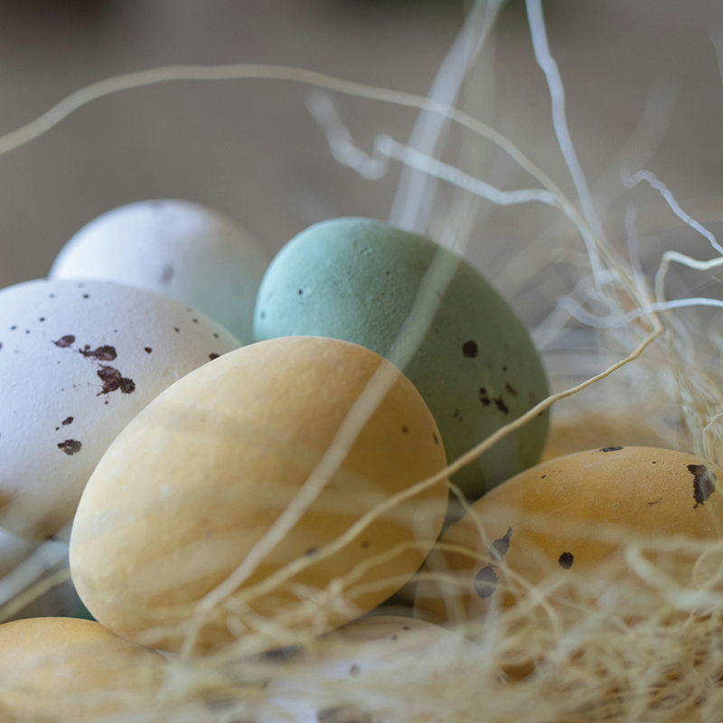 mit.teilen - Gemeindemagazin Foto_von_Wouter_Supardi_Salari_auf_Unsplash