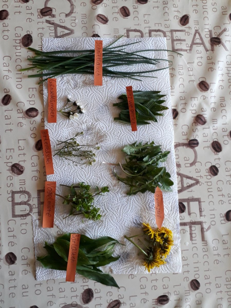 PHOTO 2020 04 16 13 20 08  1  PHOTO 2020 04 16 13 20 08  1