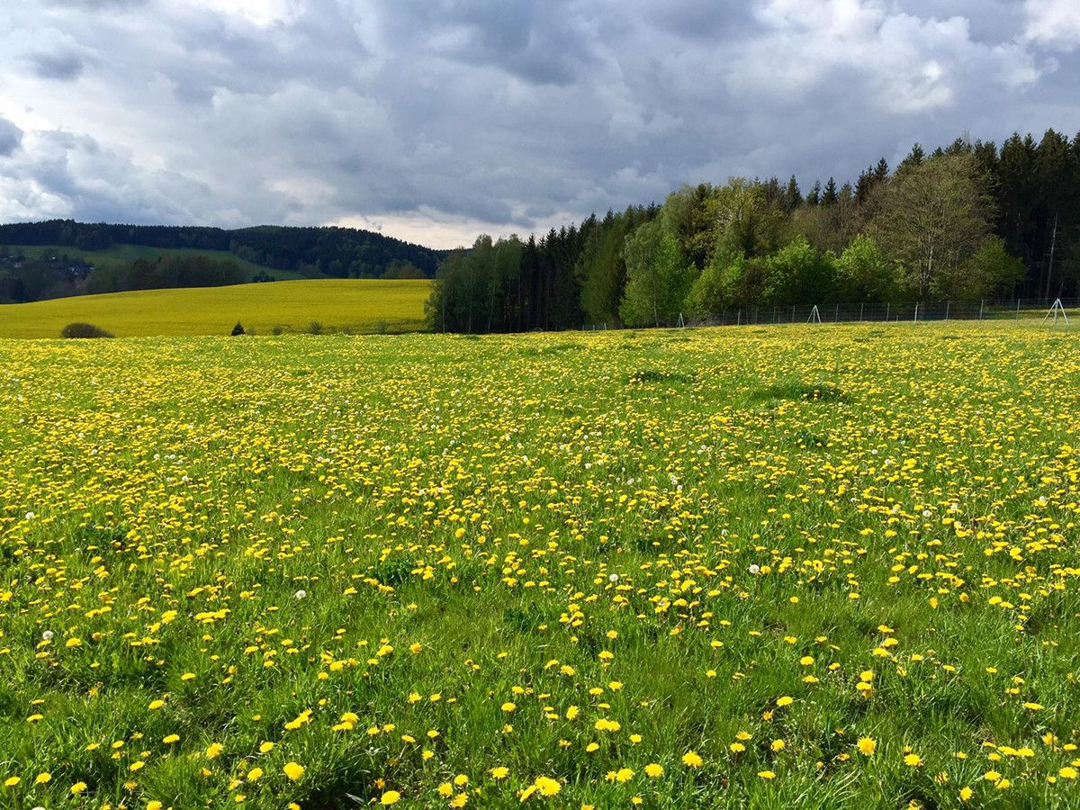 PHOTO 2020 05 05 13 32 42  002  PHOTO 2020 05 05 13 32 42  002