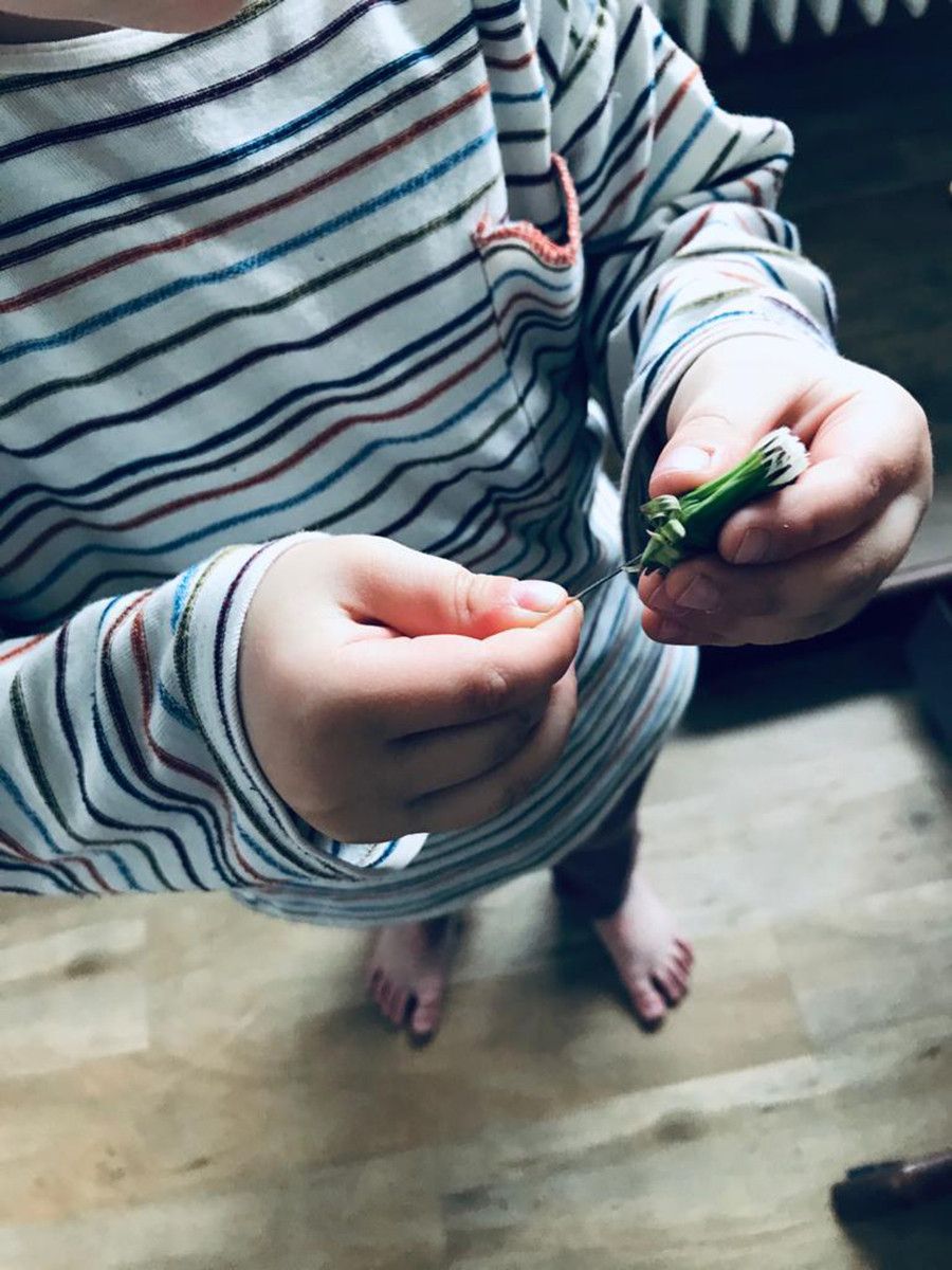 PHOTO 2020 05 05 13 33 47  003  PHOTO 2020 05 05 13 33 47  003