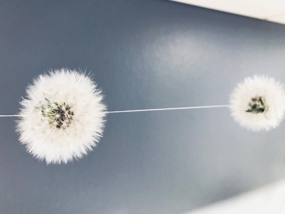 PHOTO 2020 05 05 13 34 22  004  PHOTO 2020 05 05 13 34 22  004