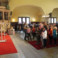 IMG 8015 IMG 8015