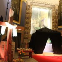 IMG 0337 IMG 0337