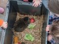 krabbelraum ostern