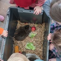 krabbelraum ostern