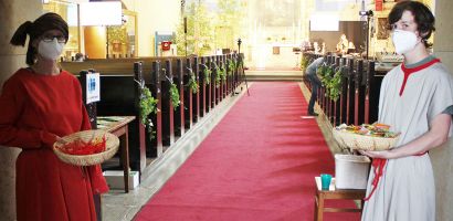 IMG 1495 IMG 1495