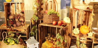 IMG 4029 IMG 4029