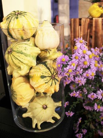 IMG 4059  2  IMG 4059  2