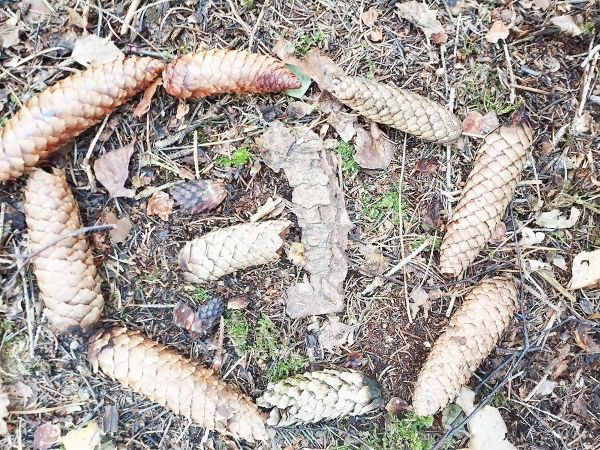 img 20231021 img 20231021