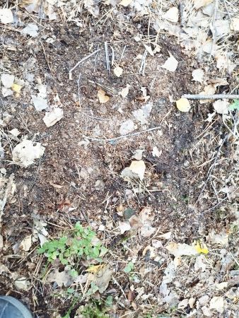 img 20231021 img 20231021