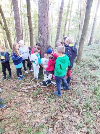 img 20231021 img 20231021