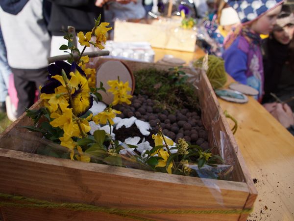 dsc00820 dsc00820
