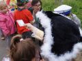 dsc00970